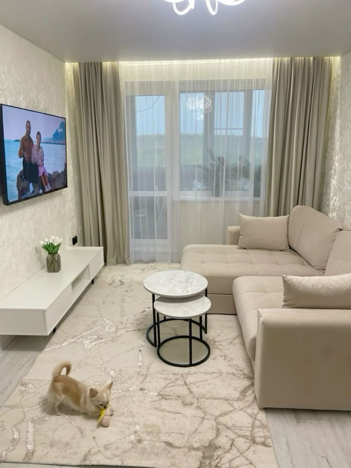 студия, 50 м²